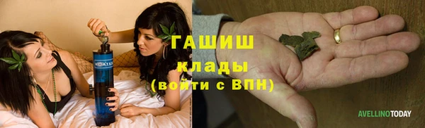 прущие грибы Снежинск