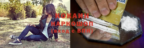 трава Снежногорск