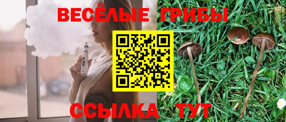 Галлюциногенные грибы Psilocybe Зеленогорск